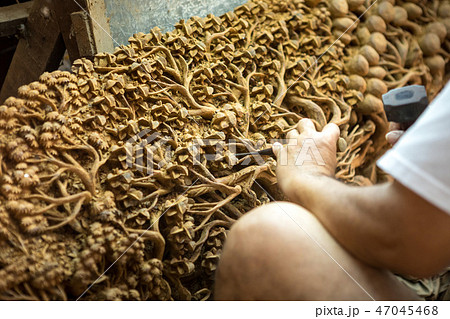Hand of carver carving wood Hand of carver carving wood 47045468