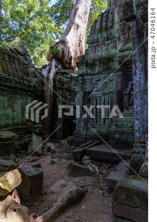 【絶景】【世界遺産】アンコール遺跡群　タ・プローム 47046164