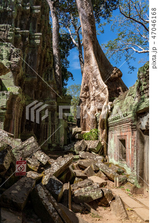 【絶景】【世界遺産】アンコール遺跡群 テトラメレスに覆われるタ・プローム寺院の遺跡 【絶景】【世界遺産】アンコール遺跡群 テトラメレスに覆われるタ・プローム寺院の遺跡 47046168