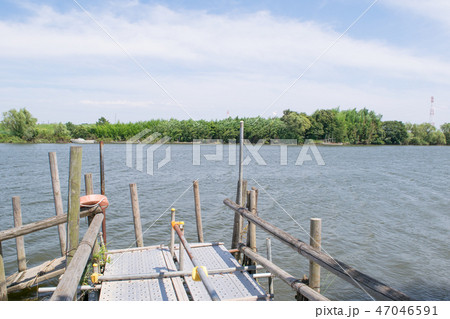 東京都 葛飾区 葛飾柴又 江戸川 矢切の渡し 東京都 葛飾区 葛飾柴又 江戸川 矢切の渡し 47046591