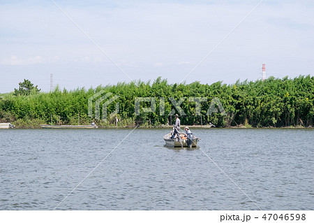 東京都　葛飾区　葛飾柴又　江戸川　矢切の渡し 47046598