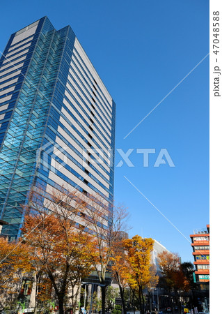 武蔵小杉駅前風景　紅葉　タテ位置 47048588