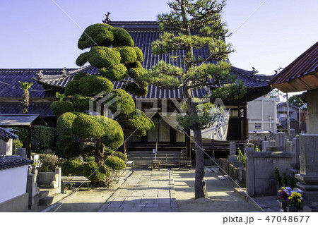 鞆の浦　古寺めぐり　善行寺　本堂 47048677