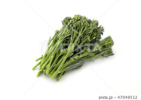 スティックセニョール 47049512