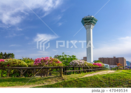 本堀と五稜郭タワー 47049534