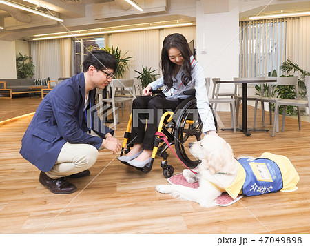 日本ユニバーサルマナー協会監修素材　車椅子に乗ったビジネスウーマンと介助犬 47049898