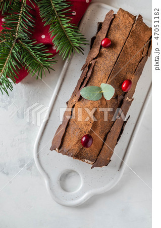 Bush de Noel Christmas Log Cake and New Year background. Copy space. 47051182