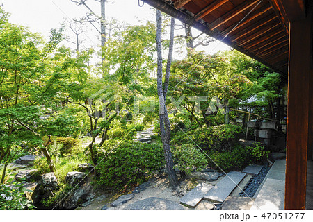 岡山 岡山 47051277