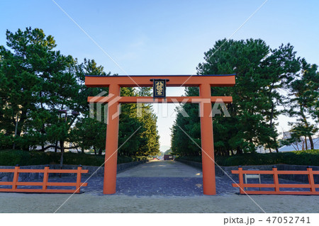 福岡　箱崎浜の鳥居 47052741