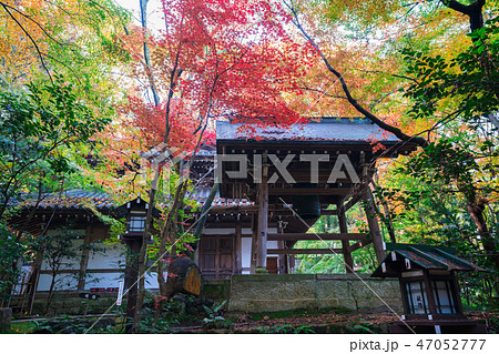 京都 長楽寺の鐘楼と紅葉 京都 長楽寺の鐘楼と紅葉 47052777