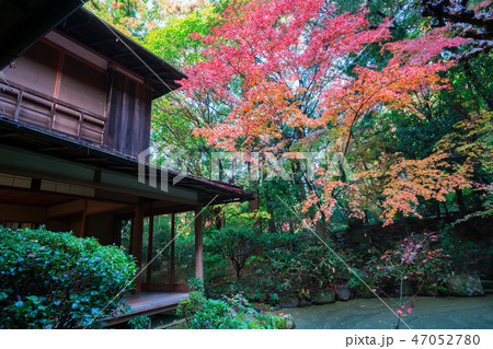 京都　長楽寺の紅葉　　　　 47052780