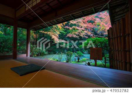 京都 長楽寺の紅葉 京都 長楽寺の紅葉 47052782