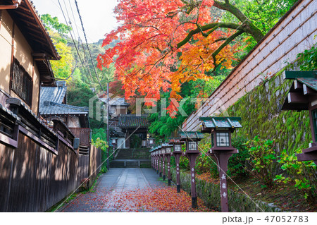 京都　長楽寺の紅葉　　　　 47052783