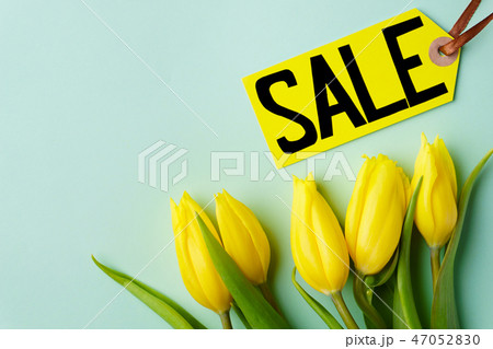 spring holidays sale, price tag and yellow tulips 47052830