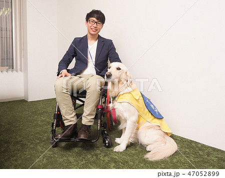 日本ユニバーサルマナー協会監修素材　車椅子に乗ったビジネスマンと介助犬 47052899