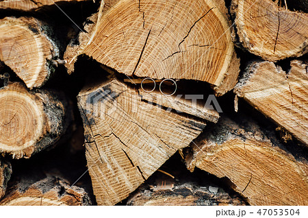 Wooden natural cut logs textured background with wedding rings, side view Wooden natural cut logs textured background with wedding rings, side view 47053504