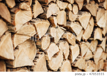 Wooden natural cut logs textured background, side view 47053555