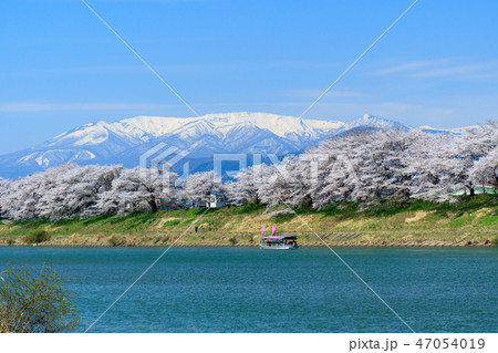 一目千本桜　大河原 47054019