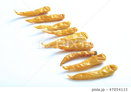 黄トウガラシ 47054115