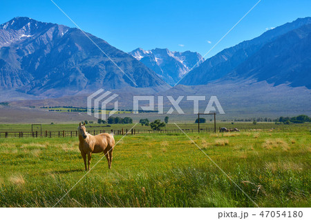 シエラネバダ山脈の牧場の写真素材