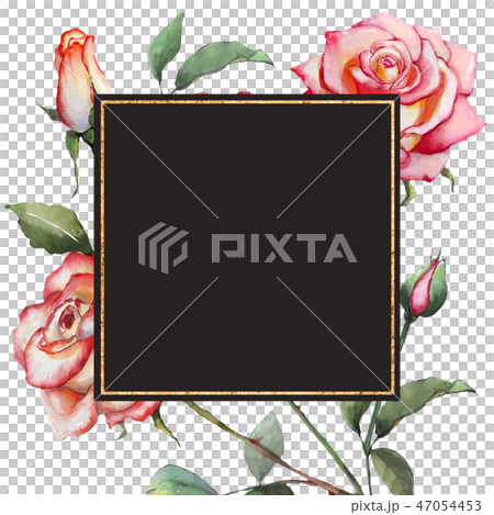 玫瑰花朵封面背景是_20_1 47054453