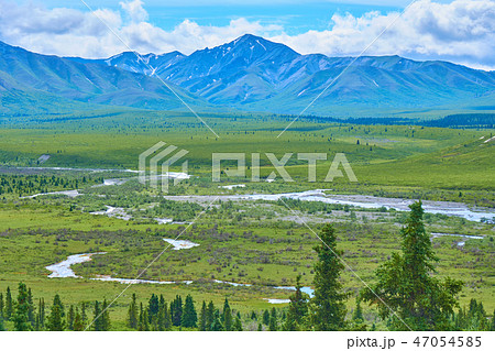 デナリ国立公園 47054585