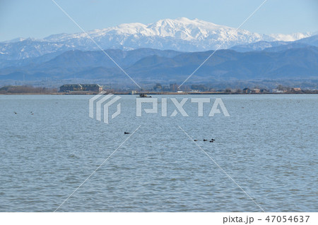 石川県　柴山潟 47054637