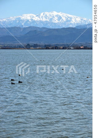 石川県　柴山潟 47054650