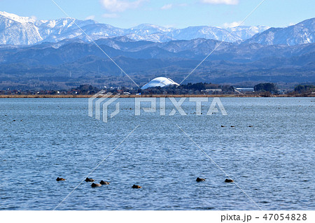 石川県　柴山潟 47054828