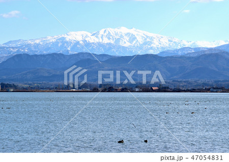 石川県　柴山潟 47054831