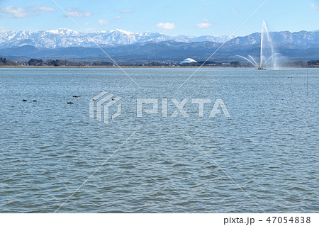 石川県　柴山潟 47054838