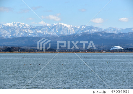 石川県　柴山潟 47054935