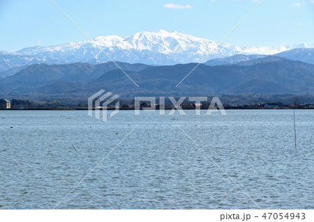 石川県　柴山潟 47054943