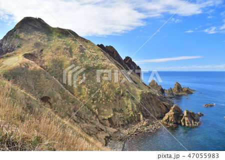 佐渡名所～大野亀～ 47055983