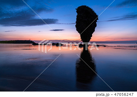 《北海道》えびす岩と大黒岩・薄明 47056247