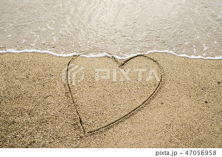 Heart 47056958