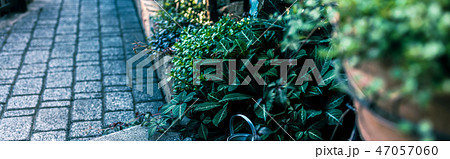 おしゃれな庭・外構 47057060