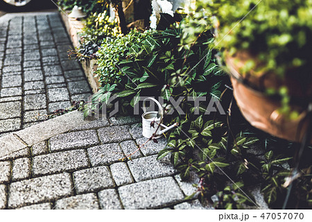 おしゃれな庭・外構 47057070