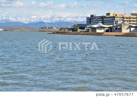 石川県 片山津温泉湖畔 石川県 片山津温泉湖畔 47057677