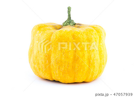 yellow pumpkin mini miniature vegetable  47057939