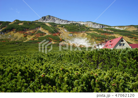 北アルプス　三俣山荘と三俣蓮華岳 47062120