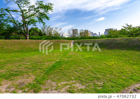 半月堡上の土塁　五稜郭公園 47062732