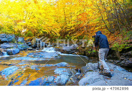 Landscape photographer taking pictures in autumn 47062896