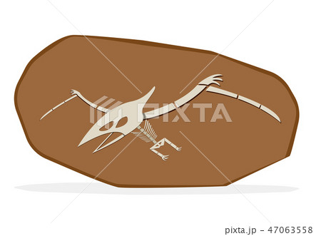 Pterosaurs bone in cray fossil, on white vector 47063558