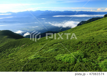 中央アルプス空木岳山頂から　朝の南アルプス遠望 47063574