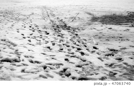 Footprints in the snow. Footprints in the snow. 47063740