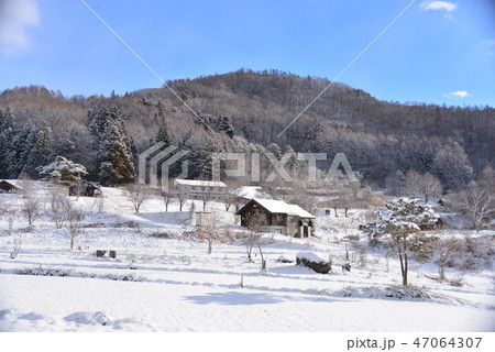 雪景色の大洞高原 雪景色の大洞高原 47064307