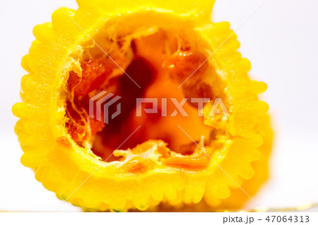 マクロ 熟したゴーヤ 輪切り 断面 47064313