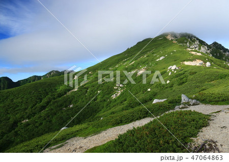 中央アルプス縦走 池山尾根から空木岳山頂を仰ぐ 中央アルプス縦走 池山尾根から空木岳山頂を仰ぐ 47064863
