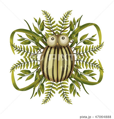 Seamless vector card with colorado beetle. 47064888